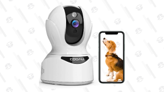 Keep an Eye on Your Furry Pals With This $30 Wireless Pet Camera